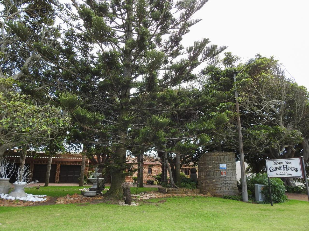 Mossel Bay Guest House Экстерьер фото